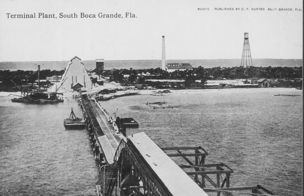 black and white photo of terminal plant, South Boca Grande