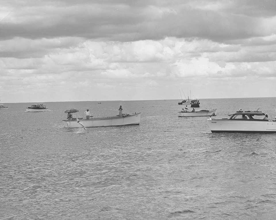 black and white photograph of small boats fishing for tarpon