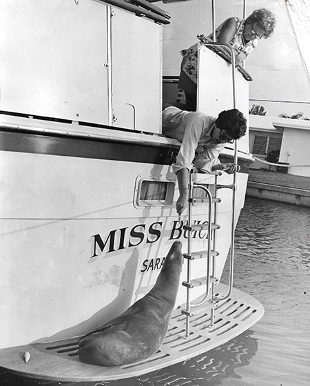 original press photo of Cute Sea Lion Tinkerbell Visits Miss Buick Yacht Florida